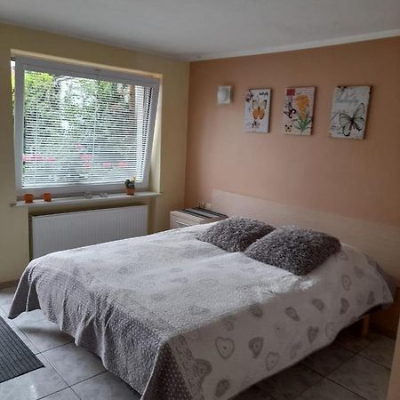קולובז'ג Apartament Jednosci Narodowej מראה חיצוני תמונה