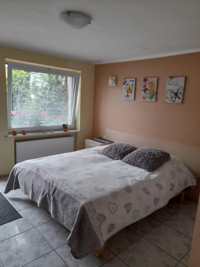 קולובז'ג Apartament Jednosci Narodowej מראה חיצוני תמונה
